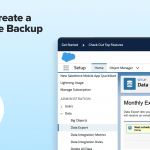 Salesforce Backup